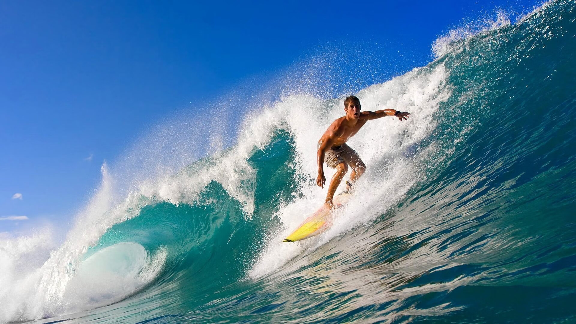 2026世界杯焦点战,巴拉圭提前终结悬念,利物浦元素闪耀北美赛场